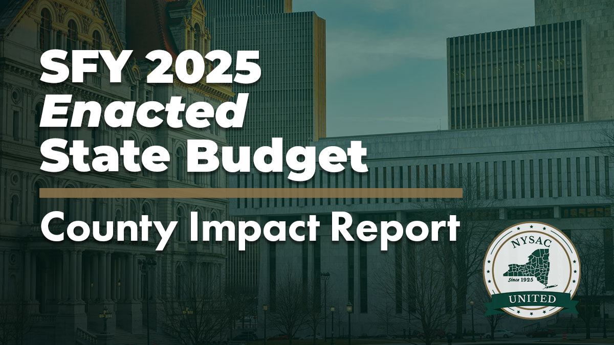 SFY 2025 Enacted State Budget Impact Report