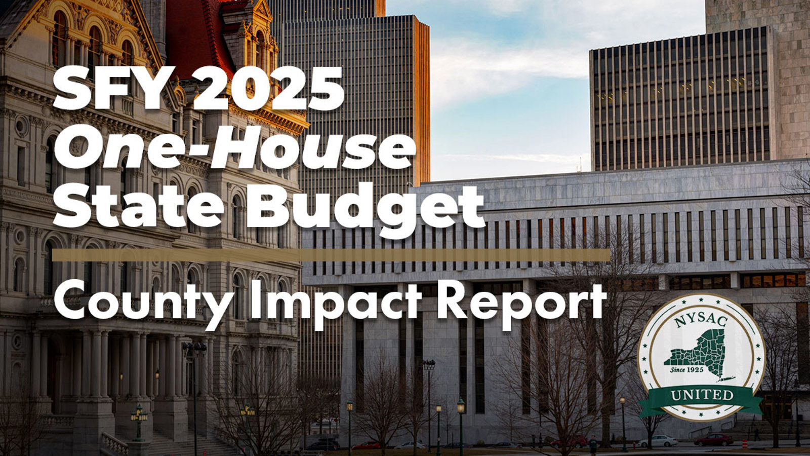 sfy-2025-one-house-budgets-county-impact-report